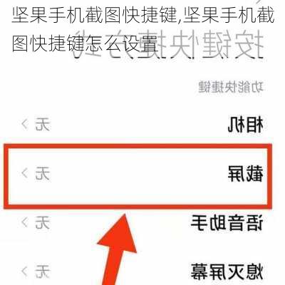 坚果手机截图快捷键,坚果手机截图快捷键怎么设置