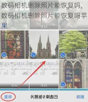数码相机删除照片能恢复吗,数码相机删除照片能恢复吗苹果