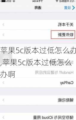 苹果5c版本过低怎么办,苹果5c版本过低怎么办啊