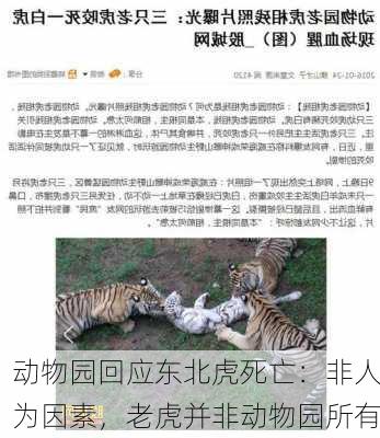 动物园回应东北虎死亡：非人为因素，老虎并非动物园所有