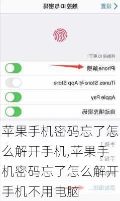 苹果手机密码忘了怎么解开手机,苹果手机密码忘了怎么解开手机不用电脑