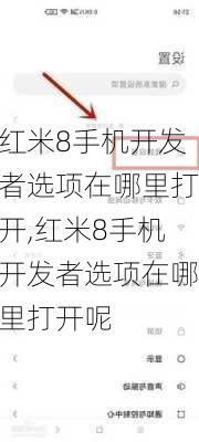 红米8手机开发者选项在哪里打开,红米8手机开发者选项在哪里打开呢