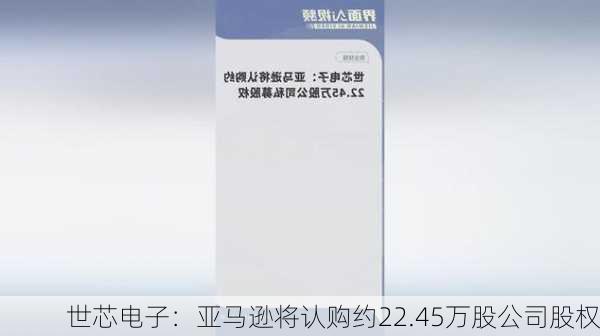 世芯电子：亚马逊将认购约22.45万股公司股权