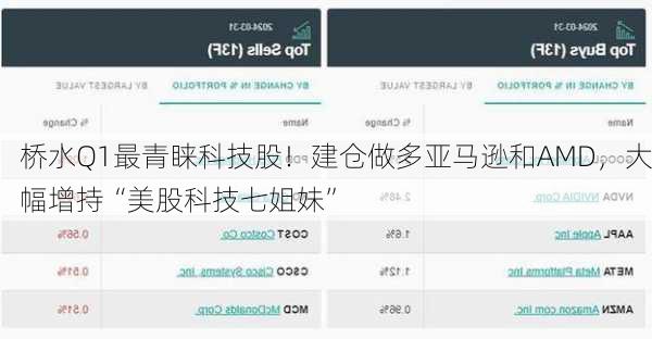 桥水Q1最青睐科技股！建仓做多亚马逊和AMD，大幅增持“美股科技七姐妹”