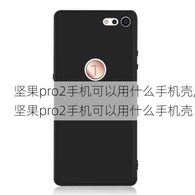 坚果pro2手机可以用什么手机壳,坚果pro2手机可以用什么手机壳