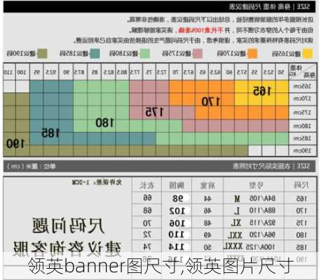 领英banner图尺寸,领英图片尺寸