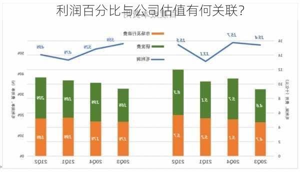 利润百分比与公司估值有何关联？