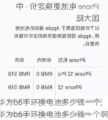 华为b6手环换电池多少钱一个,华为b6手环换电池多少钱一个啊