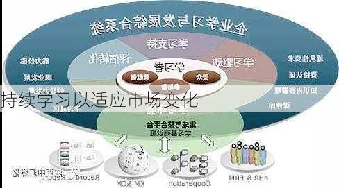 持续学习以适应市场变化