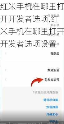 红米手机在哪里打开开发者选项,红米手机在哪里打开开发者选项设置