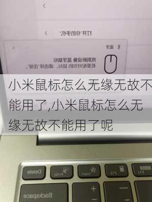 小米鼠标怎么无缘无故不能用了,小米鼠标怎么无缘无故不能用了呢