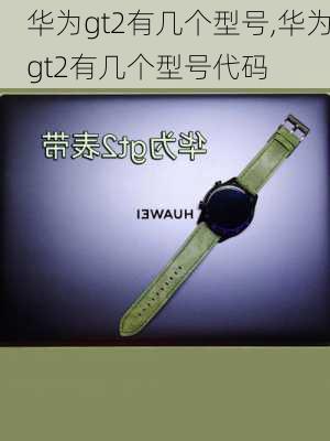 华为gt2有几个型号,华为gt2有几个型号代码