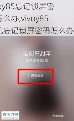 vivoy85忘记锁屏密码怎么办,vivoy85手机忘记锁屏密码怎么办