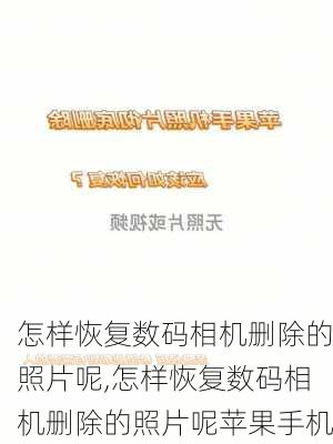 怎样恢复数码相机删除的照片呢,怎样恢复数码相机删除的照片呢苹果手机