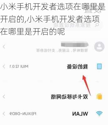 小米手机开发者选项在哪里是开启的,小米手机开发者选项在哪里是开启的呢