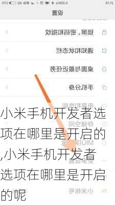 小米手机开发者选项在哪里是开启的,小米手机开发者选项在哪里是开启的呢
