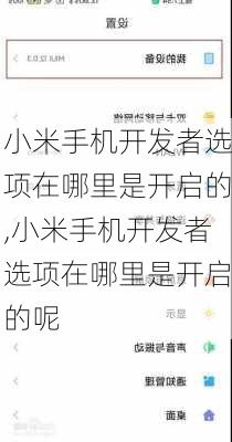 小米手机开发者选项在哪里是开启的,小米手机开发者选项在哪里是开启的呢