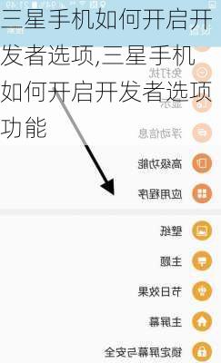 三星手机如何开启开发者选项,三星手机如何开启开发者选项功能