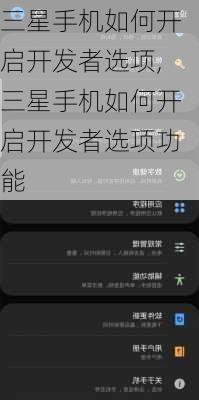 三星手机如何开启开发者选项,三星手机如何开启开发者选项功能