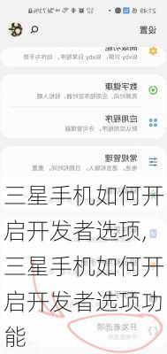 三星手机如何开启开发者选项,三星手机如何开启开发者选项功能