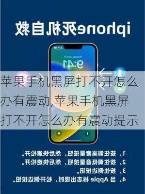 苹果手机黑屏打不开怎么办有震动,苹果手机黑屏打不开怎么办有震动提示