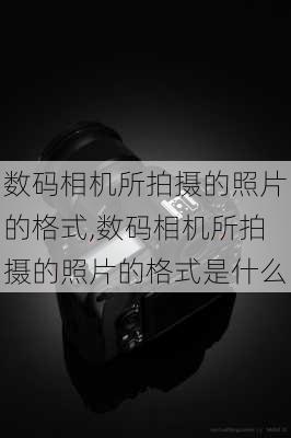 数码相机所拍摄的照片的格式,数码相机所拍摄的照片的格式是什么