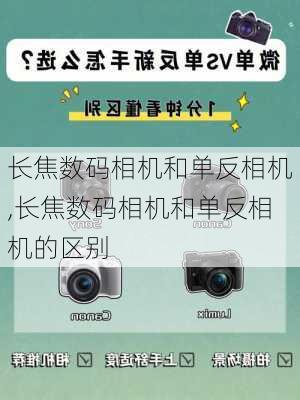 长焦数码相机和单反相机,长焦数码相机和单反相机的区别