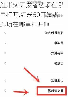 红米50开发者选项在哪里打开,红米50开发者选项在哪里打开啊