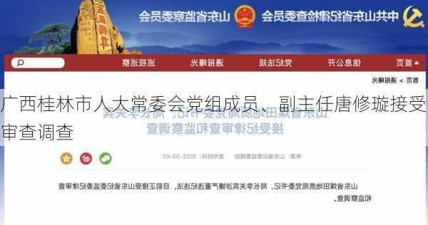 广西桂林市人大常委会党组成员、副主任唐修璇接受审查调查