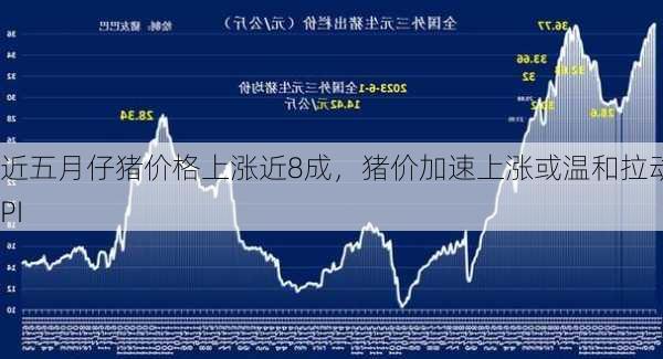 近五月仔猪价格上涨近8成，猪价加速上涨或温和拉动CPI