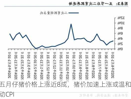 近五月仔猪价格上涨近8成，猪价加速上涨或温和拉动CPI