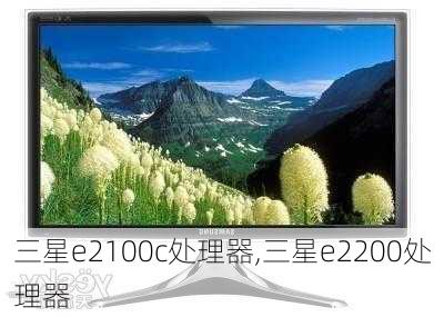 三星e2100c处理器,三星e2200处理器