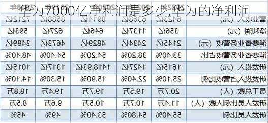 华为7000亿净利润是多少,华为的净利润