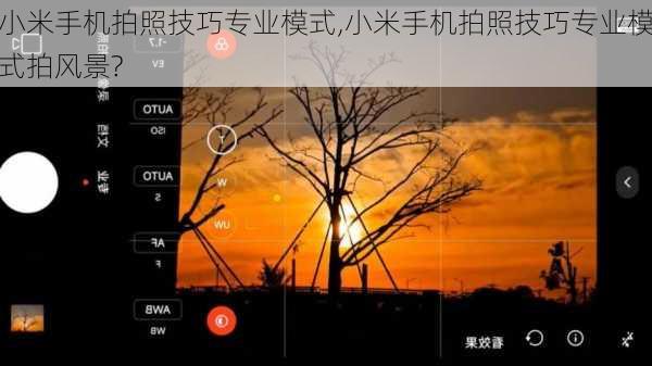 小米手机拍照技巧专业模式,小米手机拍照技巧专业模式拍风景?