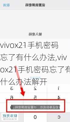 vivox21手机密码忘了有什么办法,vivox21手机密码忘了有什么办法解开