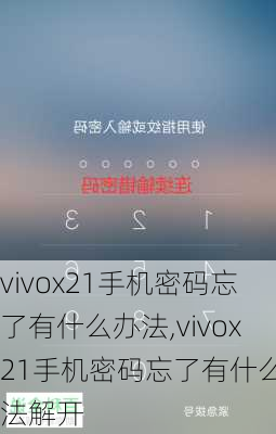 vivox21手机密码忘了有什么办法,vivox21手机密码忘了有什么办法解开