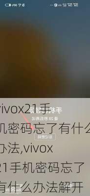 vivox21手机密码忘了有什么办法,vivox21手机密码忘了有什么办法解开