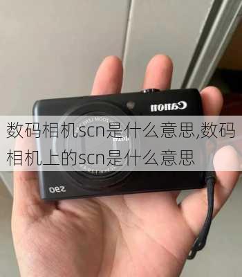 数码相机scn是什么意思,数码相机上的scn是什么意思