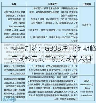 科兴制药：GB08注射液I期临床试验完成首例受试者入组