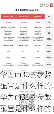 华为m30的参数配置是什么样的,华为m30的参数配置是什么样的呢