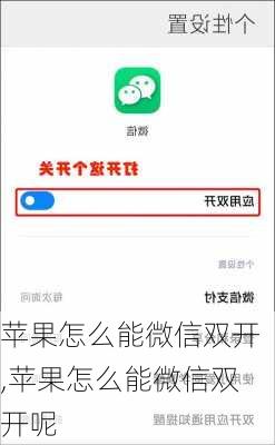 苹果怎么能微信双开,苹果怎么能微信双开呢