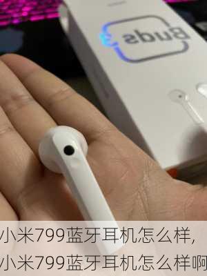 小米799蓝牙耳机怎么样,小米799蓝牙耳机怎么样啊