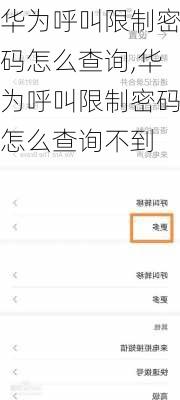 华为呼叫限制密码怎么查询,华为呼叫限制密码怎么查询不到