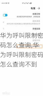 华为呼叫限制密码怎么查询,华为呼叫限制密码怎么查询不到