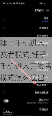 锤子手机进入开发者模式,锤子手机进入开发者模式怎么退出