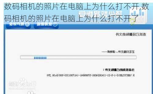 数码相机的照片在电脑上为什么打不开,数码相机的照片在电脑上为什么打不开了