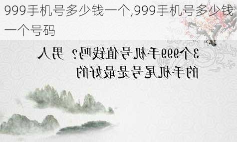 999手机号多少钱一个,999手机号多少钱一个号码