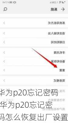 华为p20忘记密码,华为p20忘记密码怎么恢复出厂设置