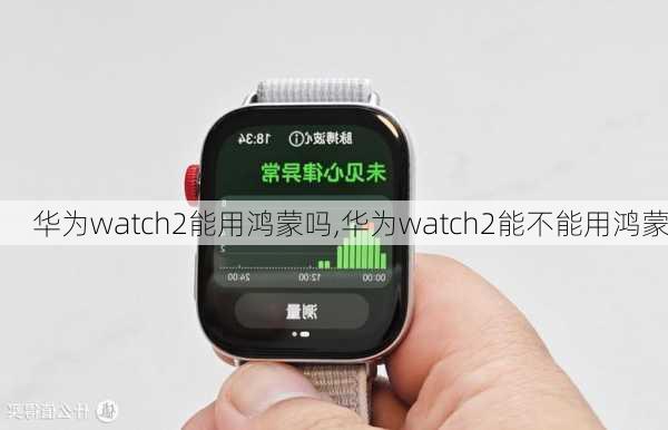 华为watch2能用鸿蒙吗,华为watch2能不能用鸿蒙