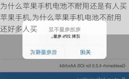 为什么苹果手机电池不耐用还是有人买苹果手机,为什么苹果手机电池不耐用还好多人买